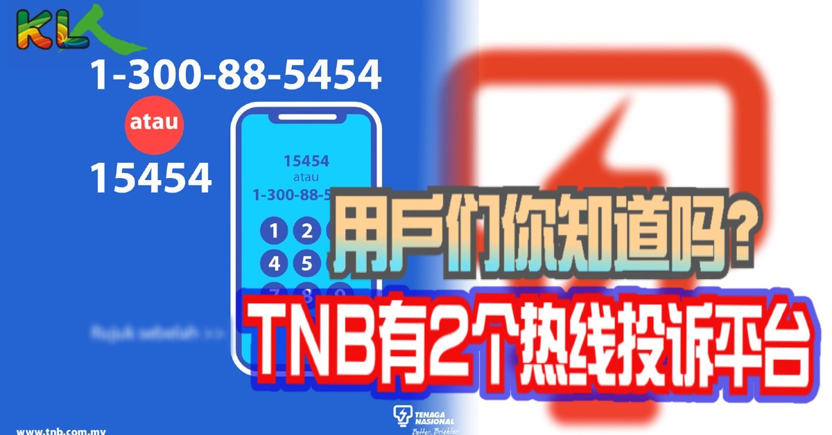 Hotline number tnb Teachers Recruitment