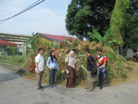 被弃道路转角处    园艺垃圾恐引蚊症