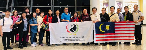 医总代表团一行人出席“第二届世界中医药服务贸易大会暨2019湖南中医药与健康产业博览会”。