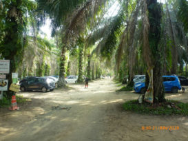 人潮汹涌不行啊  武来岸茅草山封山2周