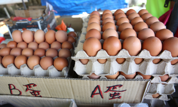 农场产量减新年需求增鸡肉鸡蛋供不应求| KL人中國報China Press