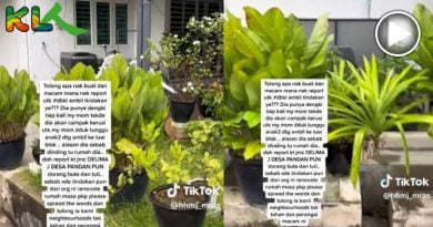 违法扩建．装数电眼 组屋底层 变 排屋庭院