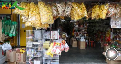 疫情后减少庆中元节 祭品跌价 买气仍淡