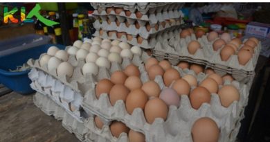 知多点｜易造成交叉污染 蛋托不宜垫盖食物