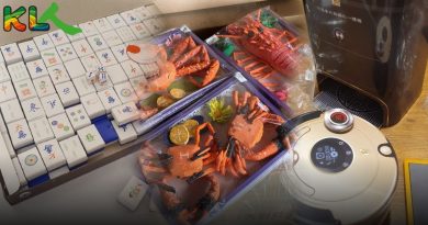 扫地机器人扫到阴间 纸扎品  颠覆你眼球