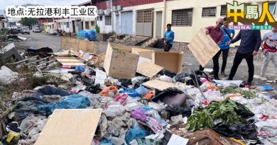 工厂后巷 非法垃圾惊人 部分竟来自隆旧古仔