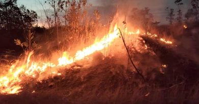 历时近22小时！万挠60英亩林火终扑灭