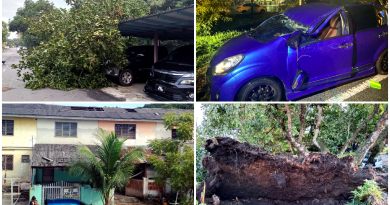狂风过境巴生滨海区 屋顶被掀树倒砸车