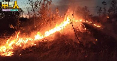 林火火灾砍树…被标签“万挠” 蔡伟杰无辜遭民众问责