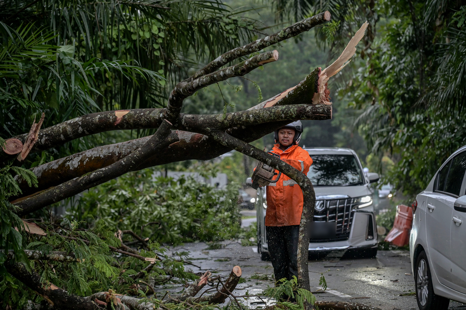 雪隆午间狂风暴雨 数区风灾 树倒 突发水灾