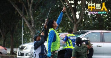 莎市厅射杀1634只乌鸦