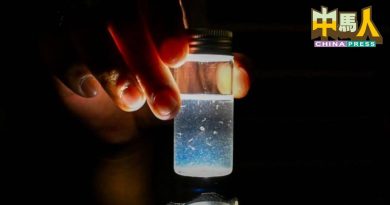 突击蚊症热点区组屋 安邦市会 开3罚单4清洁信