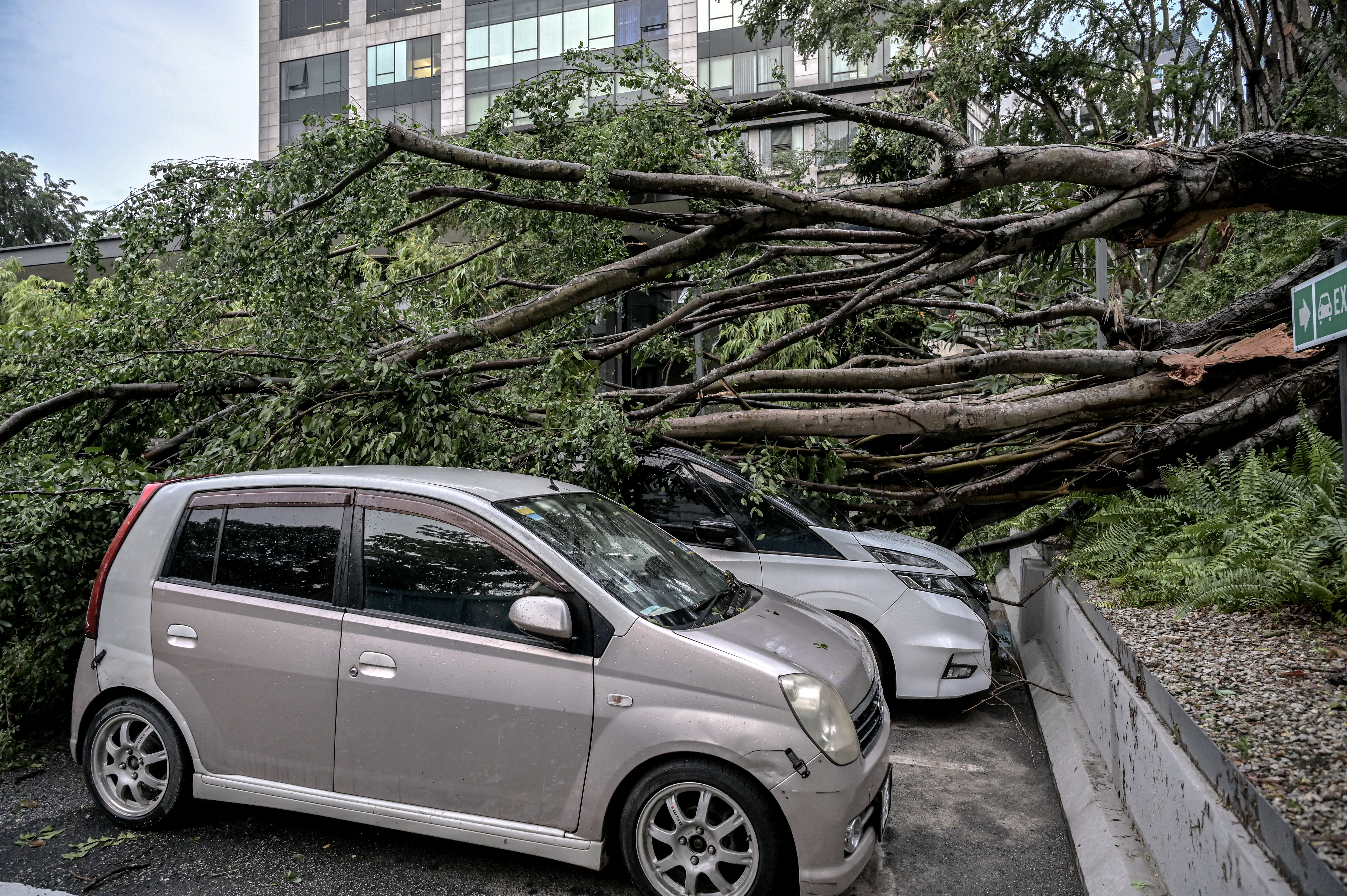 雪隆午间狂风暴雨 数区风灾 树倒 突发水灾