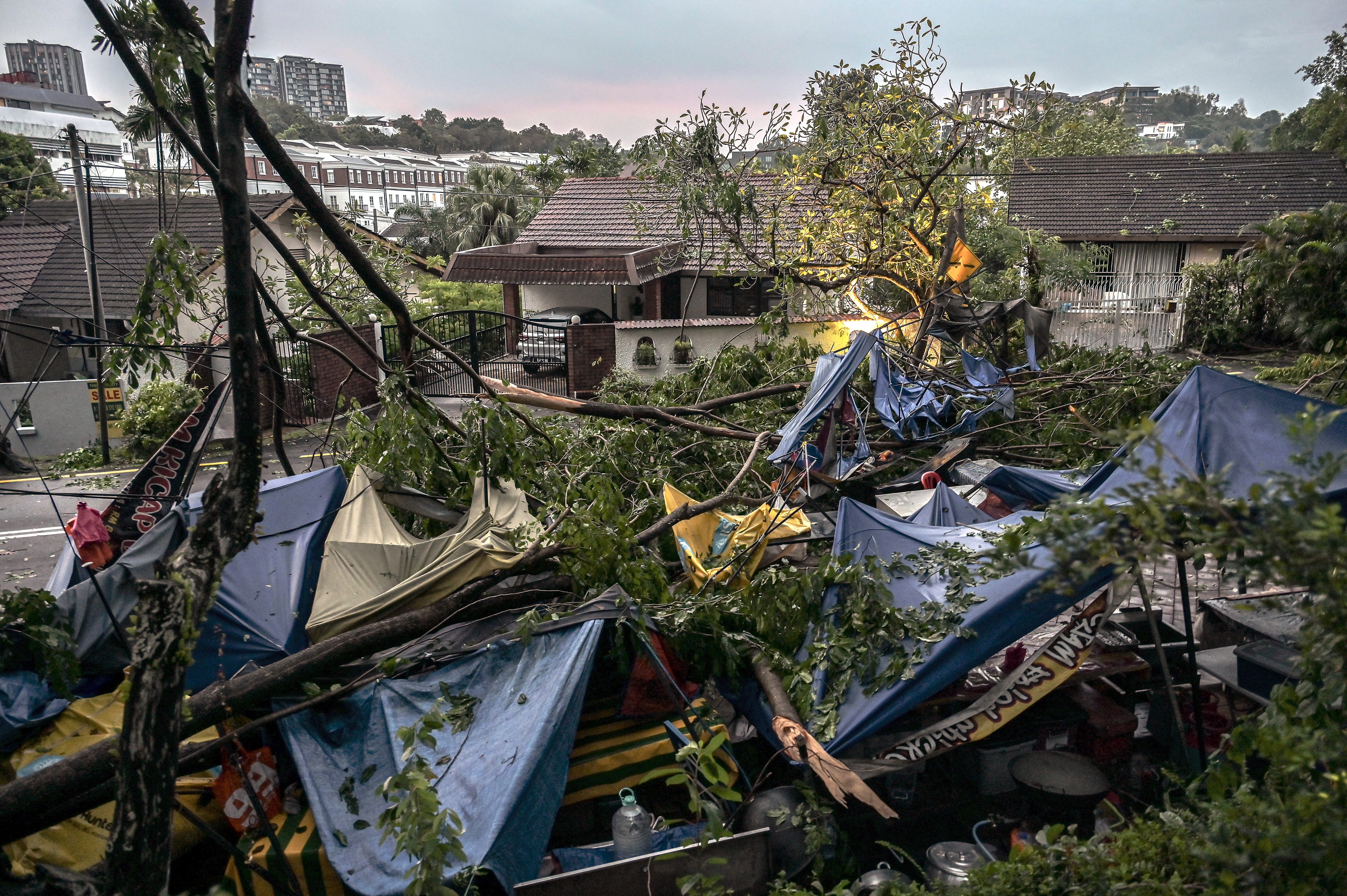 雪隆午间狂风暴雨 数区风灾 树倒 突发水灾