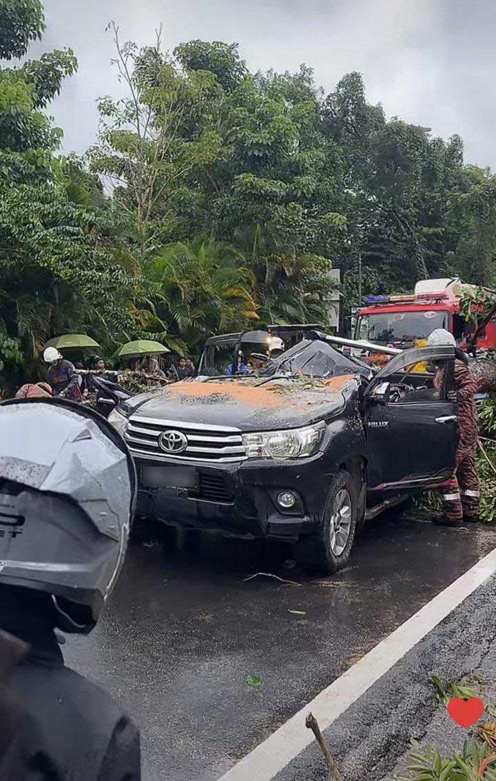 峇冬加里路下午狂风暴雨，倒树砸中一辆四驱车，马来司机不幸当场丧命。