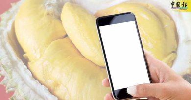 外劳网购RM96猫山王 被诈走RM 8450