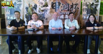 甲洞杯全国南狮赛 19日20队伍争狮王