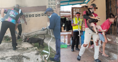 甲洞旧路一单位养15狗 隆市局：没执照兼滋扰邻里