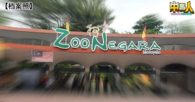 14非政府组织斥安邦再也市会 数地段悄悄转手名下