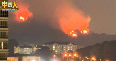 无拉港锡金花园发生林火 火舌逼近住宅 幸扑灭